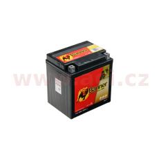baterie gelová 12V, YIX30L-BS, 30Ah, 380A, BANNER Bike Bull GEL 167x126x174
