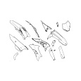 Sada plastů Ducati V21J 6992A261A
