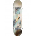 Skate komplet Globe G1 Stack Daydream 