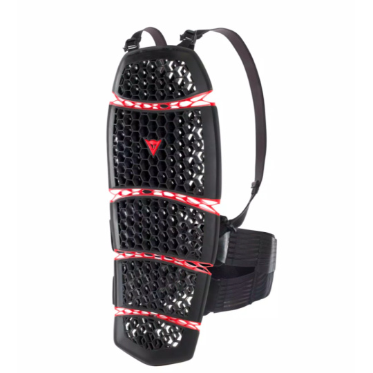 Chránič páteře DAINESE PRO-ARMOR BACK SHORT 2.0 černý
