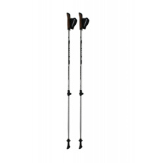 BLIZZARD Alu Performance nordic walking poles, silver/black, 2023