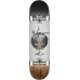 Skate komplet Globe G1 Excess White/Brown 