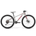 dětské kolo AMULET 27,5 Youngster 1.10, alu brushed transparent/red, 2023
