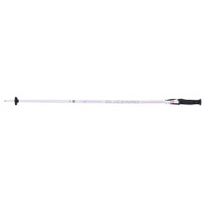 lyžařské hůlky BLIZZARD Viva Sport ski poles, white/silver/pink lyžařské hůlky BLIZZARD Viva Sport ski poles, white/silver/pink