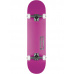 Skate komplet Globe Goodstock Neon Purple 