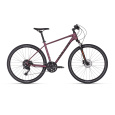 KELLYS Phanatic 30 Dark Plum L 28"
