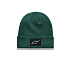 čepice AUGMENT BEANIE, ALPINESTARS (zelená)