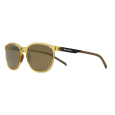 sluneční brýle DART CONCEPT, Red Bull Spect (zlaté sklo)