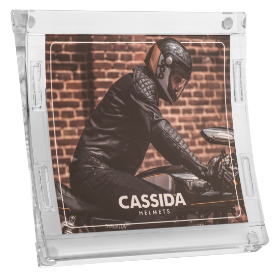 Mincovník CASSIDA