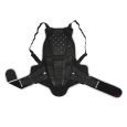 Alpinestars Bionic Backprotector-chránič páteře BNS kompatibilní