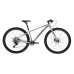 AMULET AMULET 29 Youngster 1.11 SH, alu brushed transparent/red, 2025