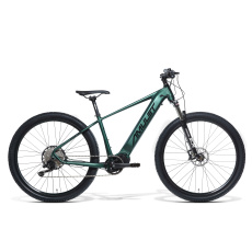 AMULET 29 eRival 5.0 SR, racing green/black, 2023