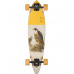 Pintail  - 
