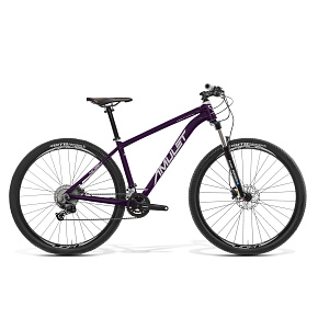 AMULET AMULET 29 Night cat 2.0 SR, royal purple/white, 2024 AMULET AMULET 29 Night cat 2.0 SR, royal purple/white, 2024