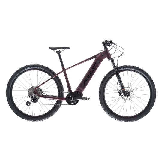 elektro kolo AMULET 29 eRival 5.5 SH, orient red/black, 2023